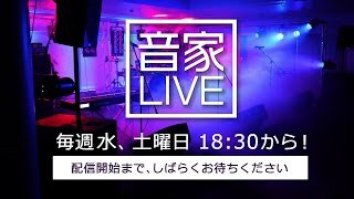 Line 6 ( ライン6 ) HX Stomp マルチエフェクター 送料無料 | サウンド 