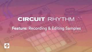 NOVATION ( ノベーション ) Circuit Rhythm スタンドアローン NOVATION ( ノベーション ) Circuit Rhythm スタンドアローン
