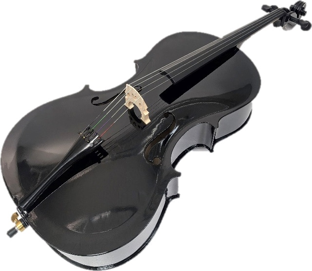 PLAYTECH ( プレイテック ) PVC144BK チェロ ブラック 4/4 送料無料