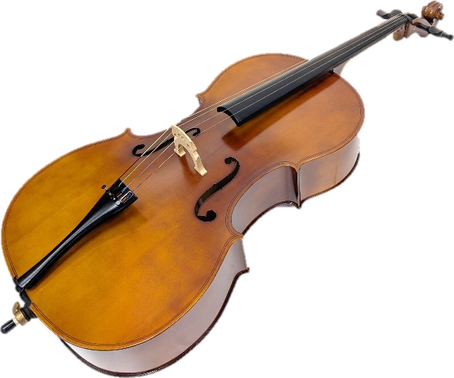 チェロ PLAYTECH PLAYTECH ( プレイテック ) PVC244 チェロ 4/4 送料無料