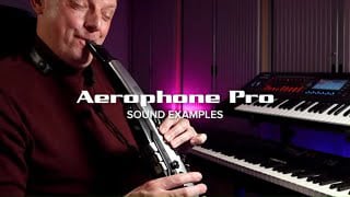 ROLAND ( ローランド ) AE-30 Aerophone Pro ヘッドホンプレゼント 
