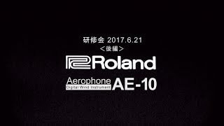 ROLAND ( ローランド ) Aerophone AE-10 エアロフォン 送料無料