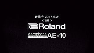 ROLAND ( ローランド ) Aerophone AE-10G エアロフォン 送料無料