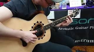 SKYSONIC ( スカイソニック ) WL-800JP Wireless Soundhole Pickup 