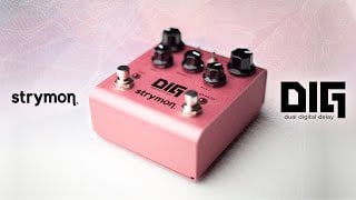 STRYMON ( ストライモン ) DIG 送料無料 | サウンドハウス STRYMON ( ストライモン ) DIG 送料無料 | サウンドハウス