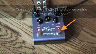 STRYMON ( ストライモン ) El Capistan Echo 送料無料