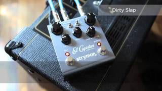STRYMON ( ストライモン ) El Capistan Echo 送料無料