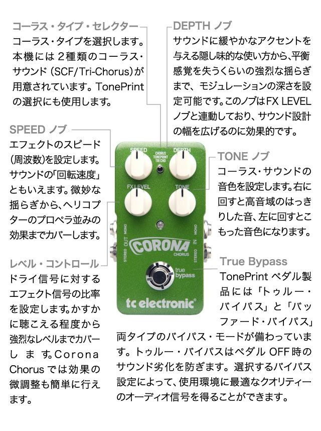 tc electronic CORONA CHORUS コーラス