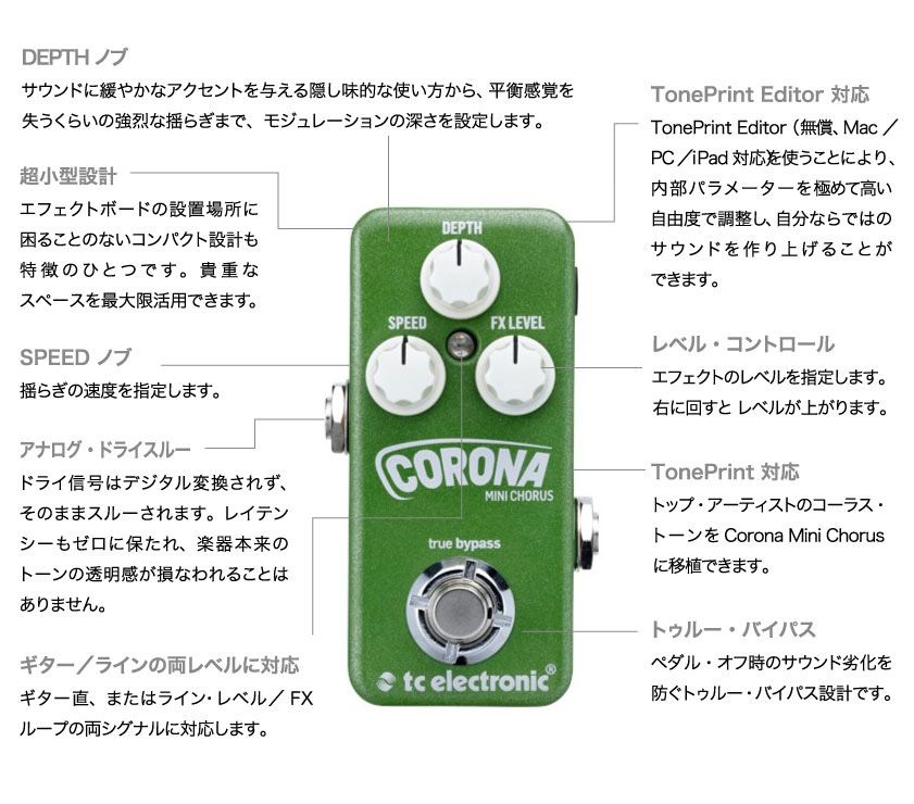 TC ELECTRONIC Corona Mini Chorus 図解1