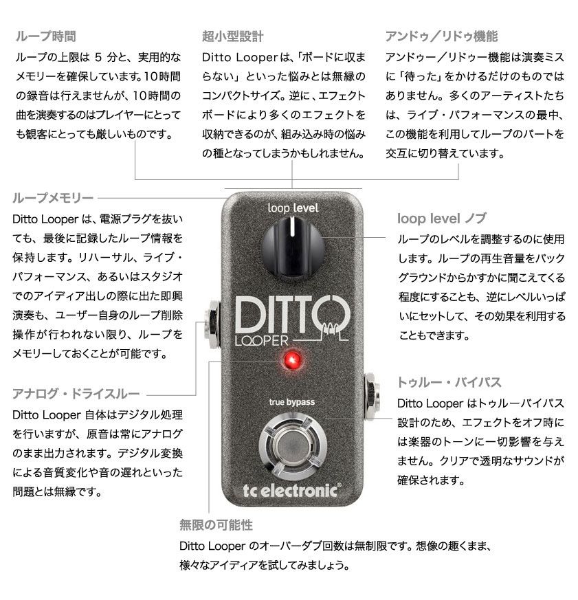Ditto Looper ルーパー