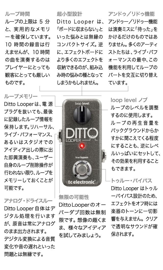 TC ELECTRONIC/Ditto Looper ルーパー/ギターエフェクター 送料無料