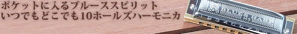 10ホールズハーモニカ