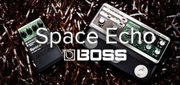 BOSS RE-2 / RE-202