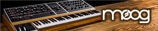 moog