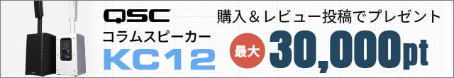 【最大30,000ptプレゼント】QSC/KC12 レビューキャンペーン