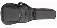Access Bags and Cases / AB2DBEG1