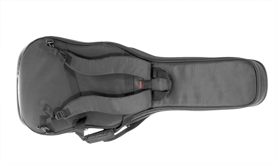 超激安特価 ACCESS CASE AB2DBEG1 2本収納用ケース