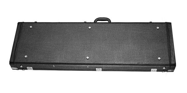 Access Bags and Cases / AC3EB11画像2