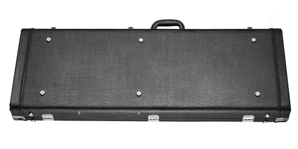 Access Bags and Cases / AC3EG11画像2