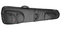 Access Bags and Cases / AB5EB1