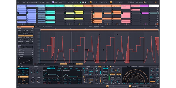 ABLETON / Live 12 Suite, UPG from Live Intro 電子メール納品画像7