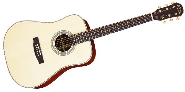 ARIA DREADNOUGHT/AD-511 Natural