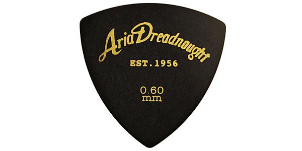 ARIA DREADNOUGHT/P-AD01/060 BK