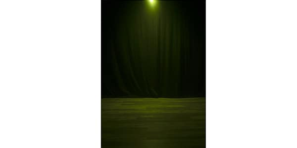 AMERICAN DJ ( アメリカンディージェイ )  / ELP5L60画像3