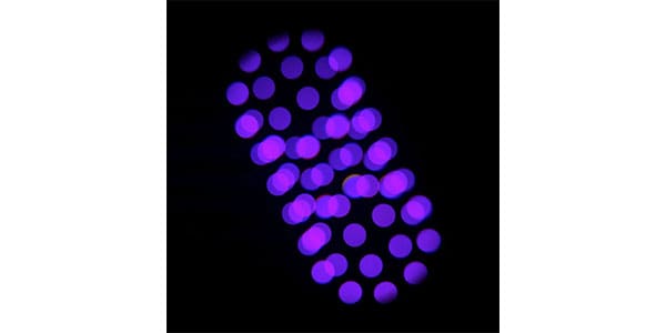 AMERICAN DJ ( アメリカンディージェイ )  / FOCUS CMY COMPACT画像15