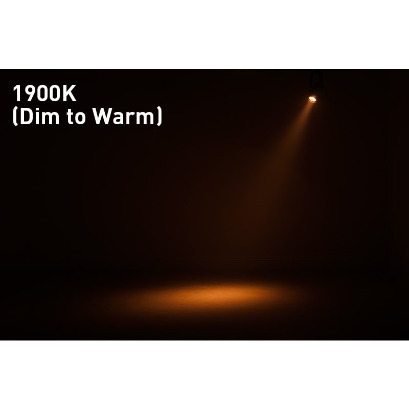 AMERICAN DJ ( アメリカンディージェイ ) SABER SPOT DTW LEDピン 