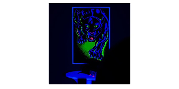 AMERICAN DJ / UV PAR 100IP画像10