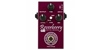 AMT ELECTRONICS RY-1 Reverberry