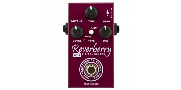 AMT ELECTRONICS/RY-1 Reverberry