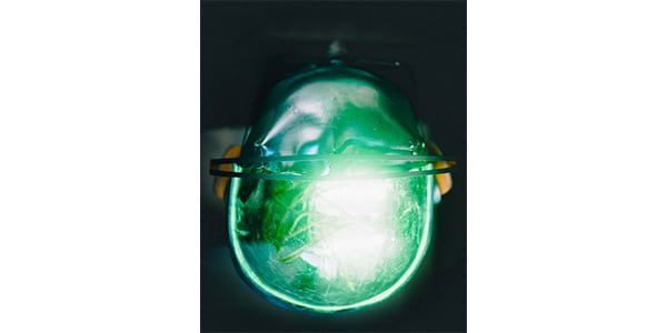 AIAIAI TRACKS Brain Dead Edition 送料無料 | Sound House AIAIAI TRACKS Brain Dead Edition 送料無料 | Sound House