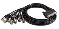 AJA Video Systems / 12G-AM-8BNC-CBL