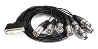 AJA Video Systems / 12G-AM-8XLR-CBL