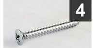  GS-3005-010 Pack of 4 Chrome Short Neck Plate Screws