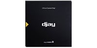  djay Control Vinyl 1枚 Black 12&quot; コントロールバイナル