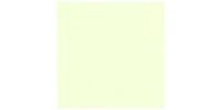 FERNANDES Pickguard Board 300×500 Mint Green 3Ply