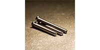 ALLPARTS / BP-2336-001Intonation Screws for Telecaster with Slotted End