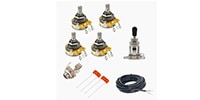 ALLPARTS / EP-4148-000 Wiring Kit for Epiphone
