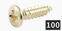 ALLPARTS / GS-0001-B01 Pickguard Screws, Nickel(100本セット)
