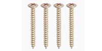 ALLPARTS / GS-0005-B01 Bulk Pack of 50 Nickel Neckplate Screws