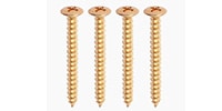 ALLPARTS / GS-0005-B02 Bulk Pack of 50 Gold Neckplate Screws
