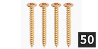 ALLPARTS / GS-0005-B02 Neckplate Screws, Gold (50個セット)