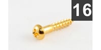  GS-0006-002 Pack of 16 Long Gold Machine Head Screws