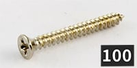 ALLPARTS / GS-0008-B01 Humbucking Ring Screws, Nickel (100本セット)