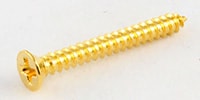 ALLPARTS / GS-0008-B02 Bulk Pack of 100 Gold Humbucking Ring Screws