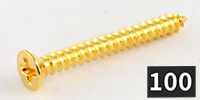 ALLPARTS / GS-0008-B02 Humbucking Ring Screws, Gold (100個セット)
