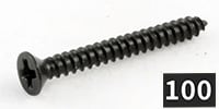 ALLPARTS / GS-0008-B03 Humbucking Ring Screws, Black (100個セット)